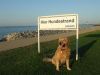 Hundestrand Altenbruch