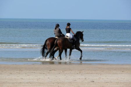 Urlaub mit Pferd an der Nordsee