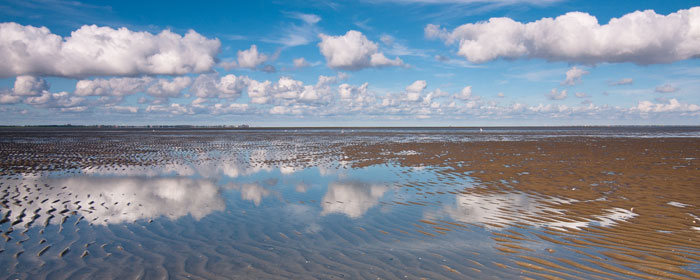 Das Wattenmeer in Cuxhaven